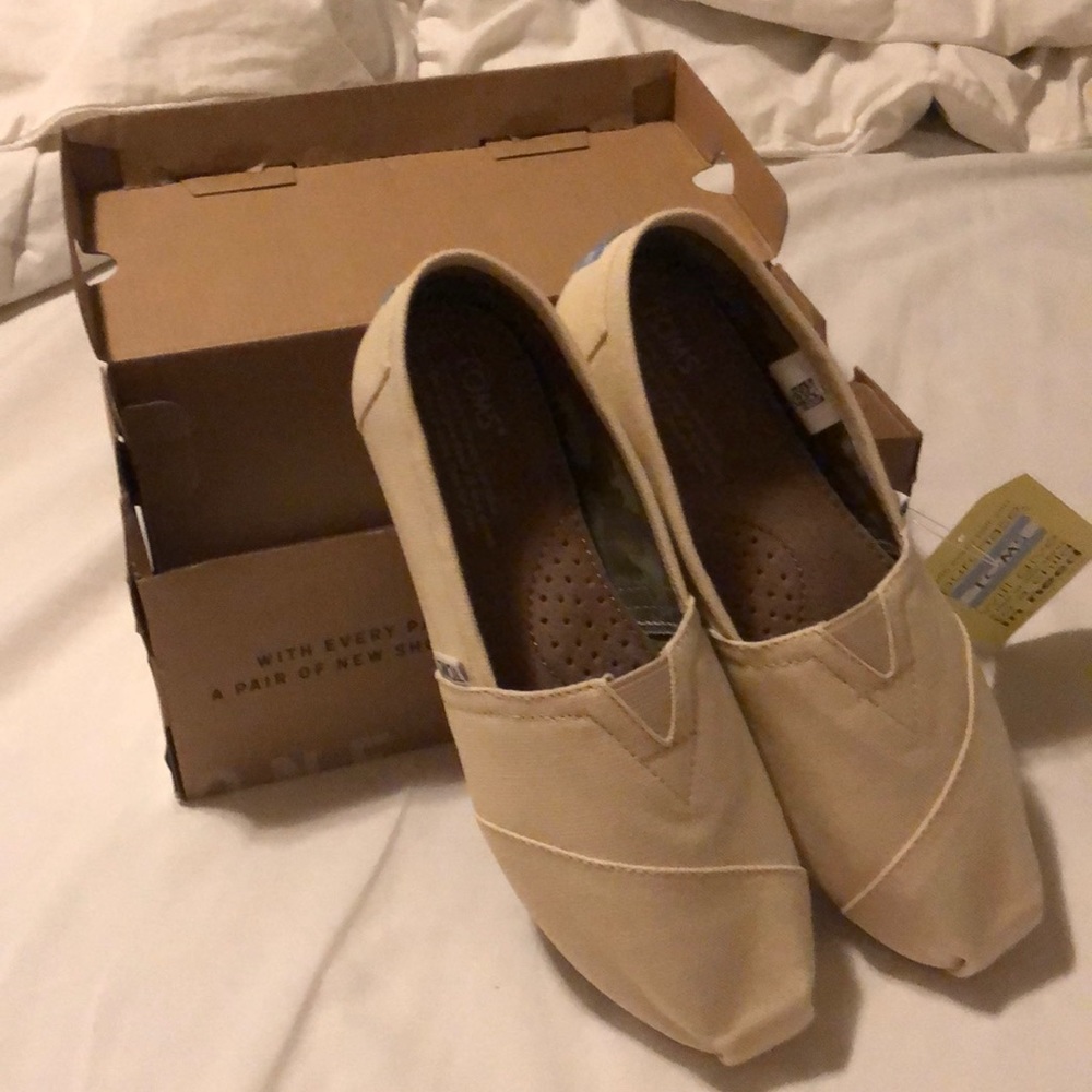 Toms Brand New in Box 6.5